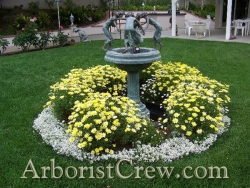 A bird fountain is enhanced by flowers in this beautifully maintained Camarillo yard.