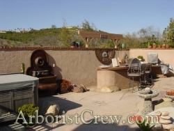 Poolside patio area with landscaping features.