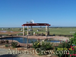 Drought-tolerant plants surround the pool area of this Camarillo patio.