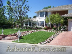 Professional landscaping by Camarillo Tree & Landscape adds curb appeal to this Camarillo home.
