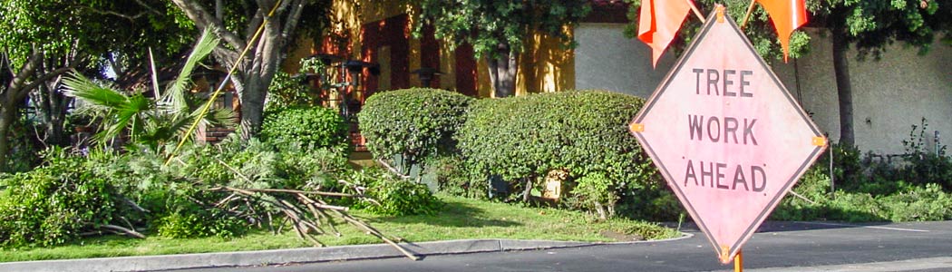 Camarillo Tree & Landscape Service