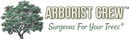 Arborist Crew Logo
