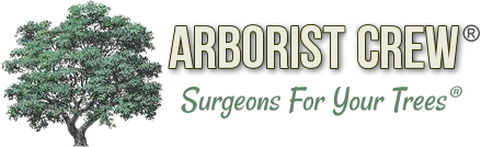 Arborist Crew Logo
