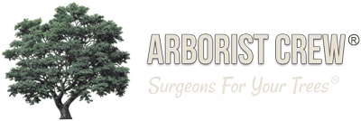 Arborist Crew, Expert Tree Service in Ventura County. Surgeons For Your Trees®