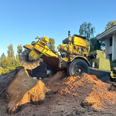 Stump grinding Ventura County