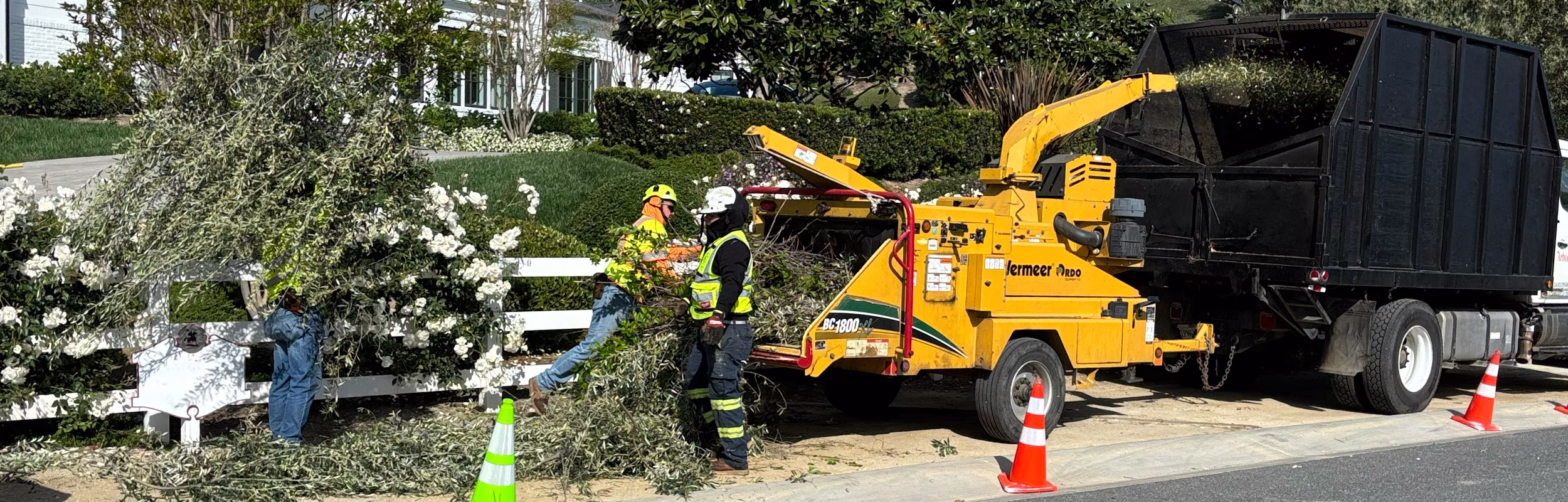 Arborist Crew tree crew using a wood chipper to grind leaves and branches into mulch.