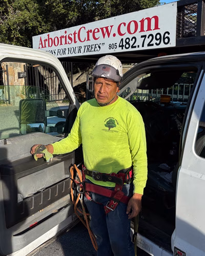 Juan, Camarillo Tree Service