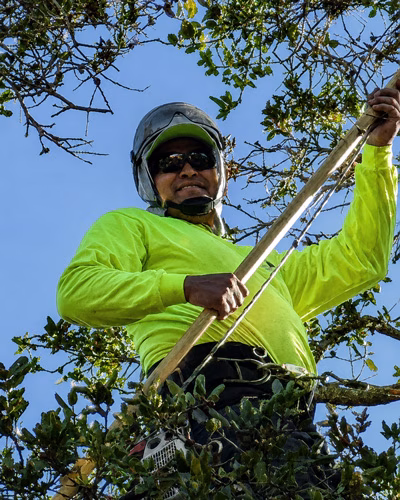 Kevin, Camarillo Tree Service