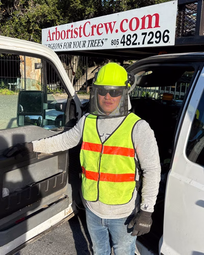 Omar, Camarillo Tree Service