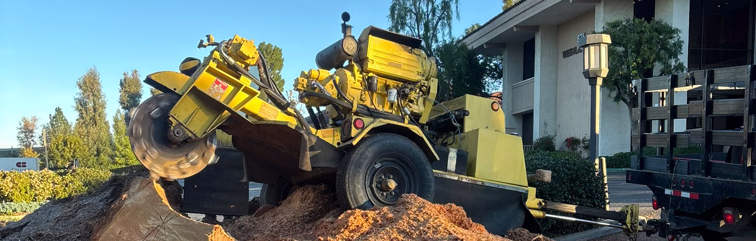 Stump Grinder Ventura County